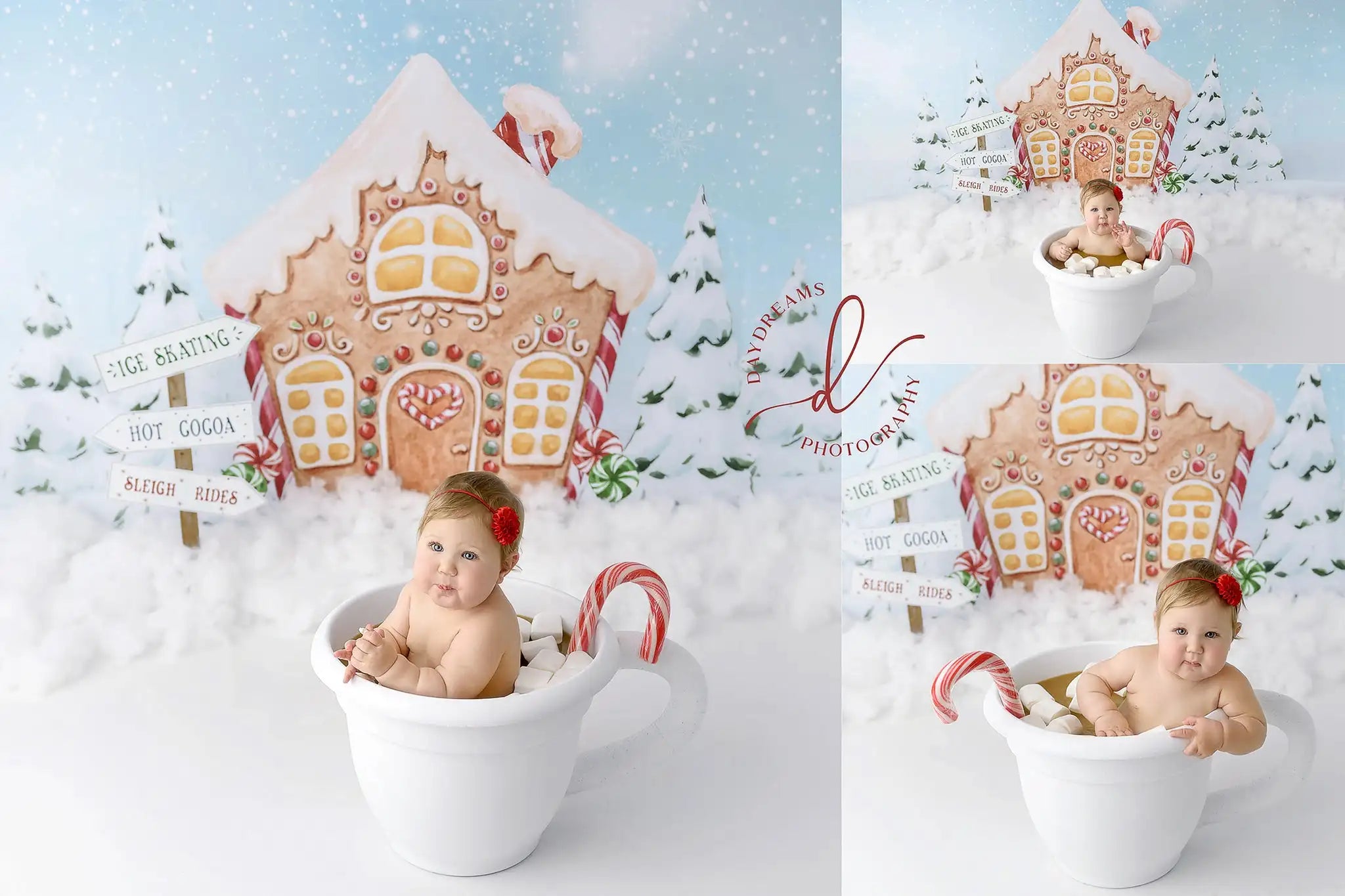 Winter Gingerbread Backdrop Snowy House Child Adult Birthday Photo Shoot Backgrounds Baby Kids Cake Smash Photography Background