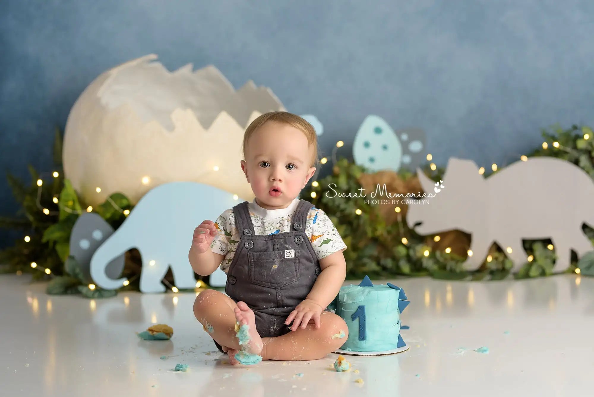 Dinosaurs Forest Backdrops Kids Baby Photography Child Adult Photocall Birthday Cake Smash Decors Jungle Animals Backgrounds