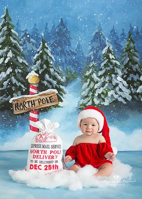 Xmas Winter Forest Toy Store House Backdrop Kids Baby Photography Props Child Birthday Adult Christmas Snowy Trees Background