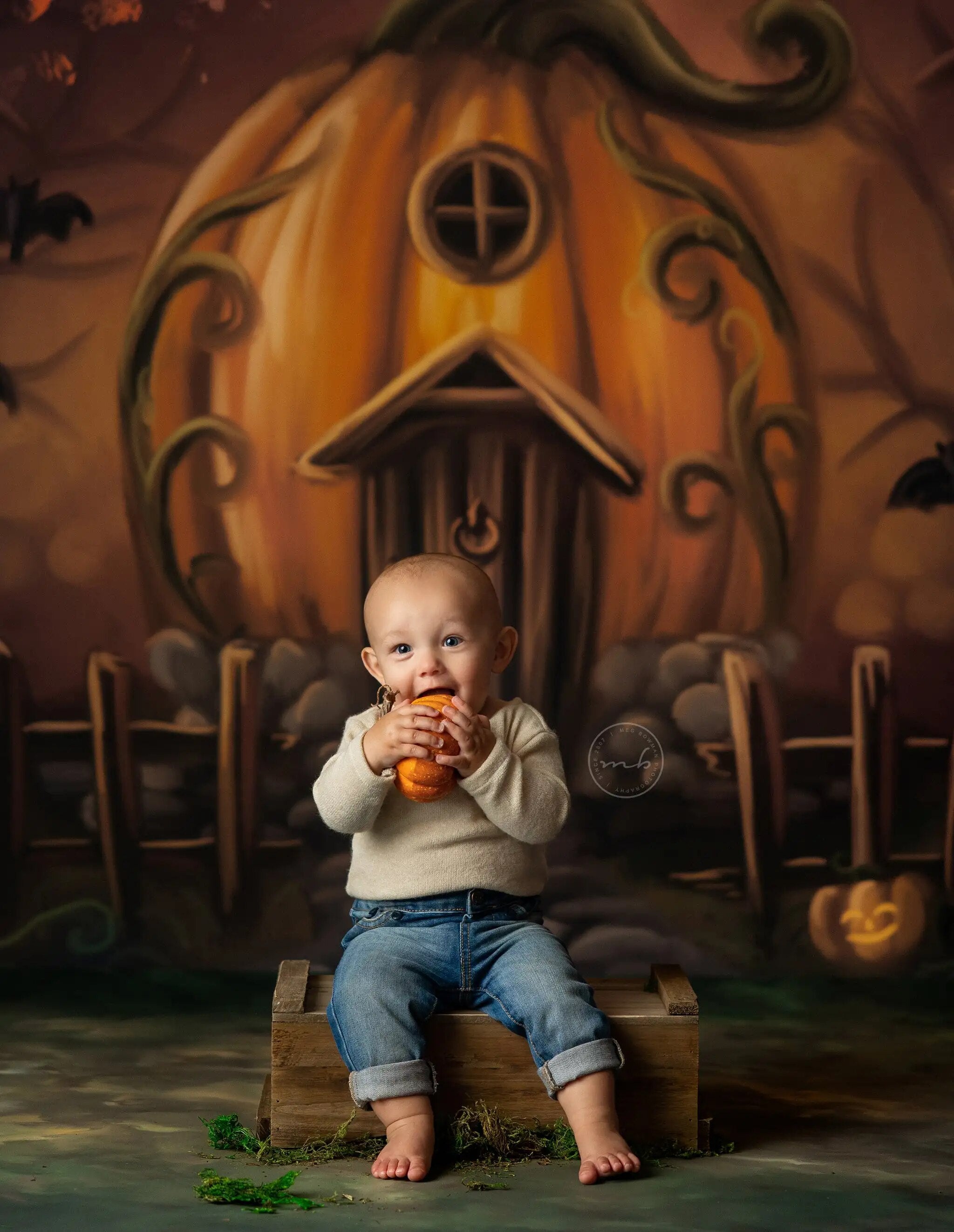 Arrière-plan de maison de citrouille effrayante d'halloween, accessoires de photographie pour enfants et bébés, gâteau d'anniversaire pour adultes et enfants, arrière-plan de Festival Smash 