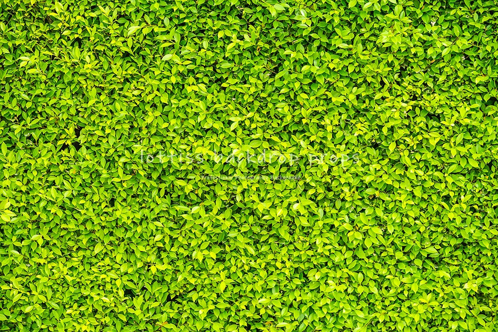 Light Grass Floor Backdrops Kids Adult Photography Props Child Baby Birthday Festvial Props Wedding Ceremony Backgrounds