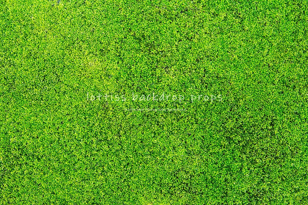 Light Grass Floor Backdrops Kids Adult Photography Props Child Baby Birthday Festvial Props Wedding Ceremony Backgrounds