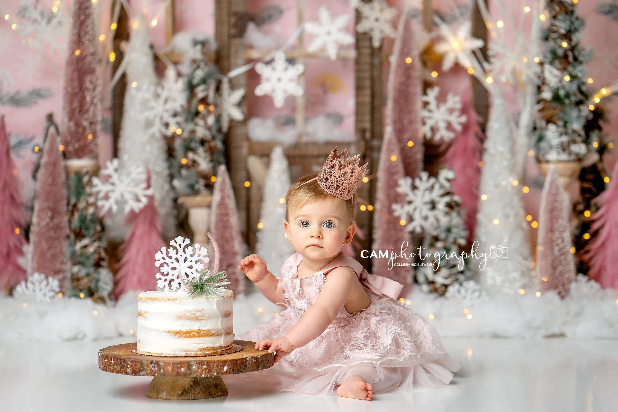 Snowflake Kisses Backdrop for Photoshoot Baby Kids Cake Smash Party Photocall Photograhy Background