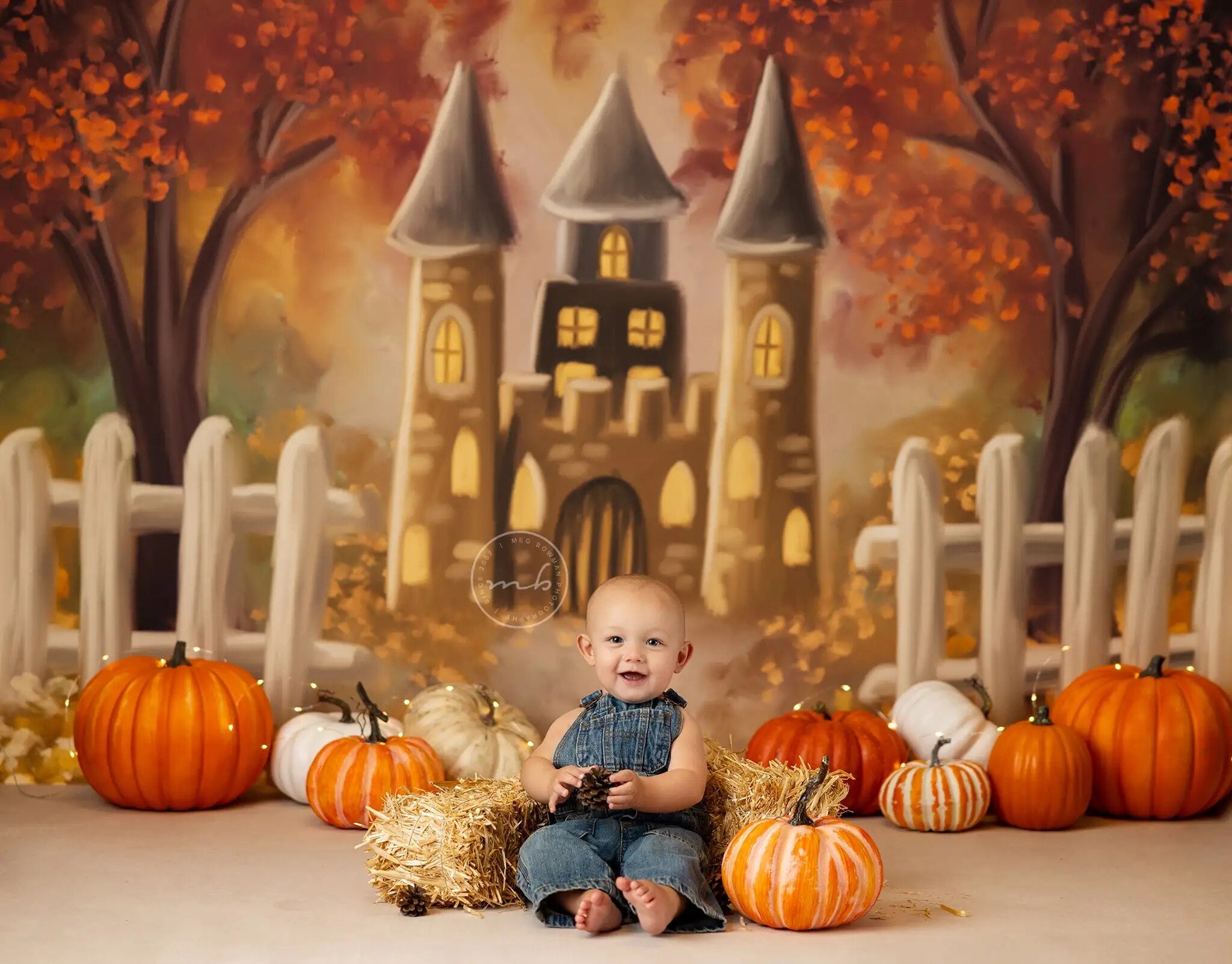 Arrière-plan du Festival de la citrouille d'automne, photographie d'enfants, de bébés, d'enfants et d'adultes, pour séance photo alors que les feuilles tournent, arrière-plan du château d'automne 