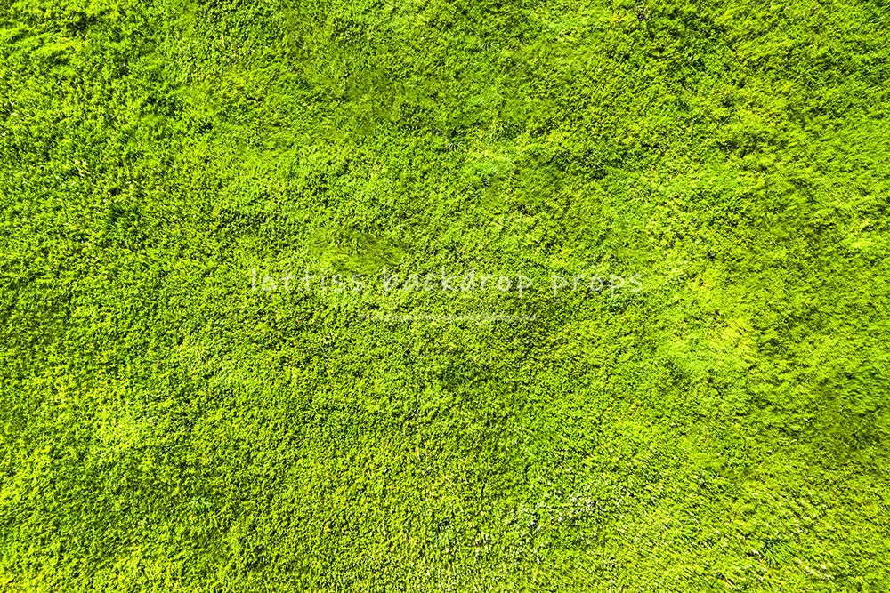 Light Grass Floor Backdrops Kids Adult Photography Props Child Baby Birthday Festvial Props Wedding Ceremony Backgrounds