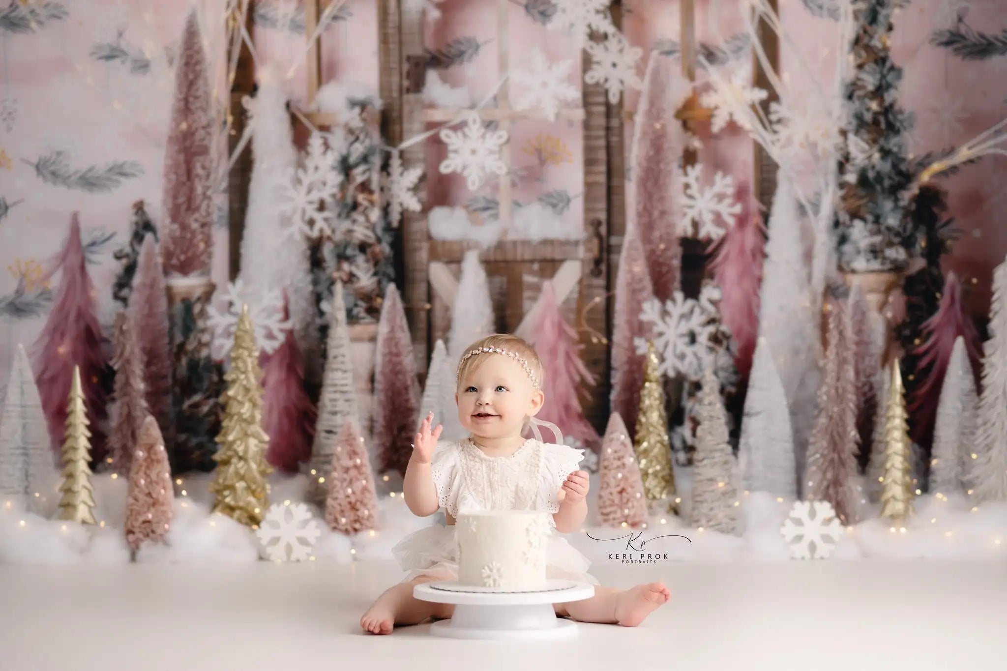 Snowflake Kisses Backdrop for Photoshoot Baby Kids Cake Smash Party Photocall Photograhy Background