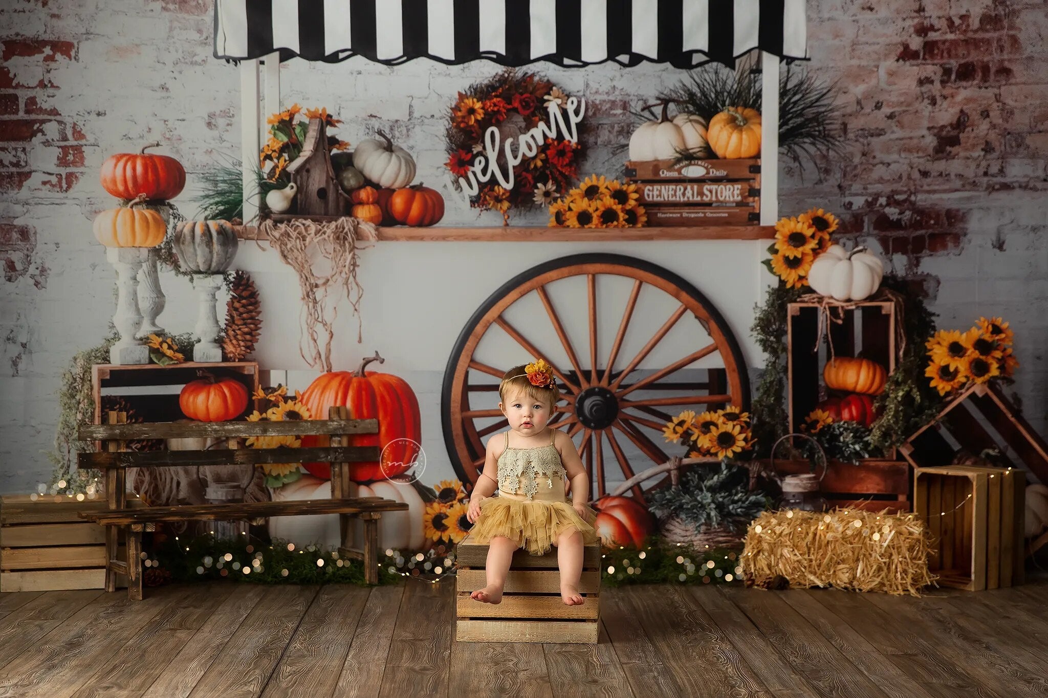 Pumpkin Cart Backdrops Child Photography Props Adult Child Baby Birthday Cake Smash Photocall Props Autumn  Background