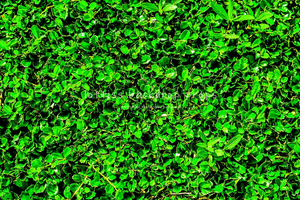 Light Grass Floor Backdrops Kids Adult Photography Props Child Baby Birthday Festvial Props Wedding Ceremony Backgrounds