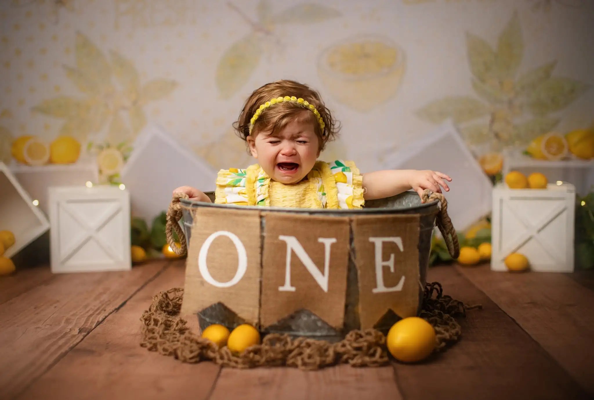 Fresh Lemon Squeeze Photography Backdrop Kids Baby Cake Smash Photocall Decors Child Girls Adult Birthday Studio Backgrounds