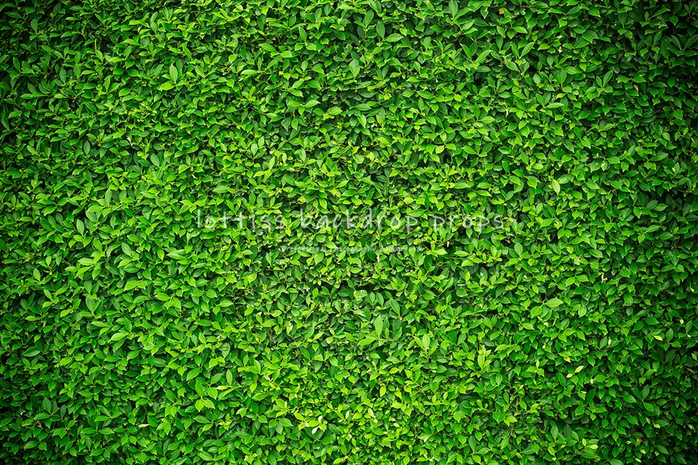 Green Grass Floor Backdrops Kids Adult Photography Props Child Baby Photocall Decors Photostudio Photo Background