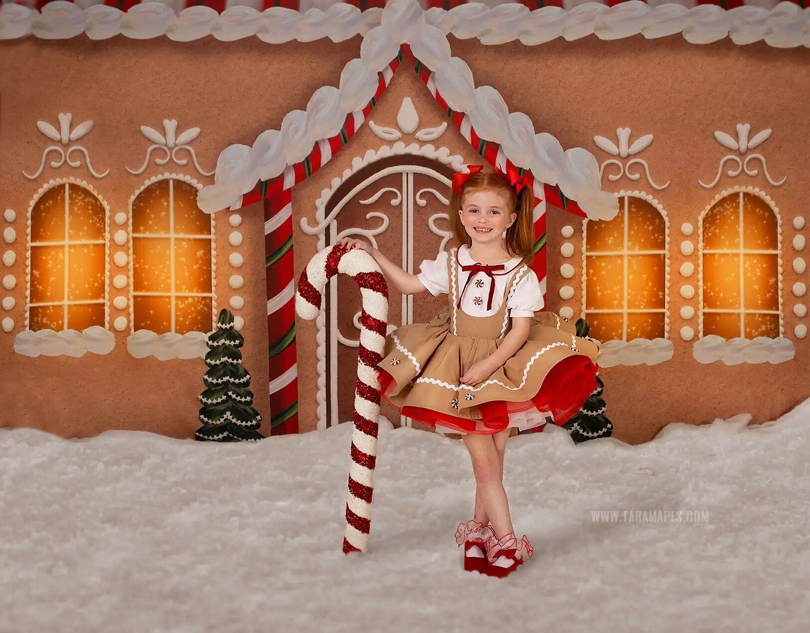 Arrière-plan de photographie de devant de magasin de noël, accessoires de séance photo pour enfants et adultes, arrière-plan de porte de maison enneigée pour studio photo de famille et d'enfant 