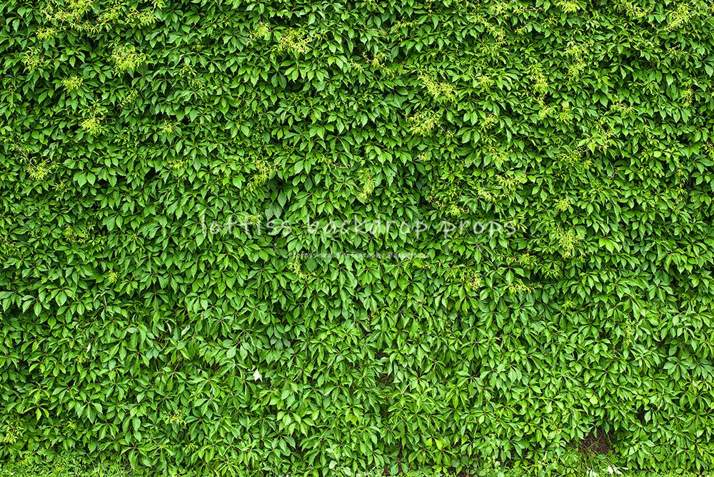 Green Grass Floor Backdrops Kids Adult Photography Props Child Baby Photocall Decors Photostudio Photo Background