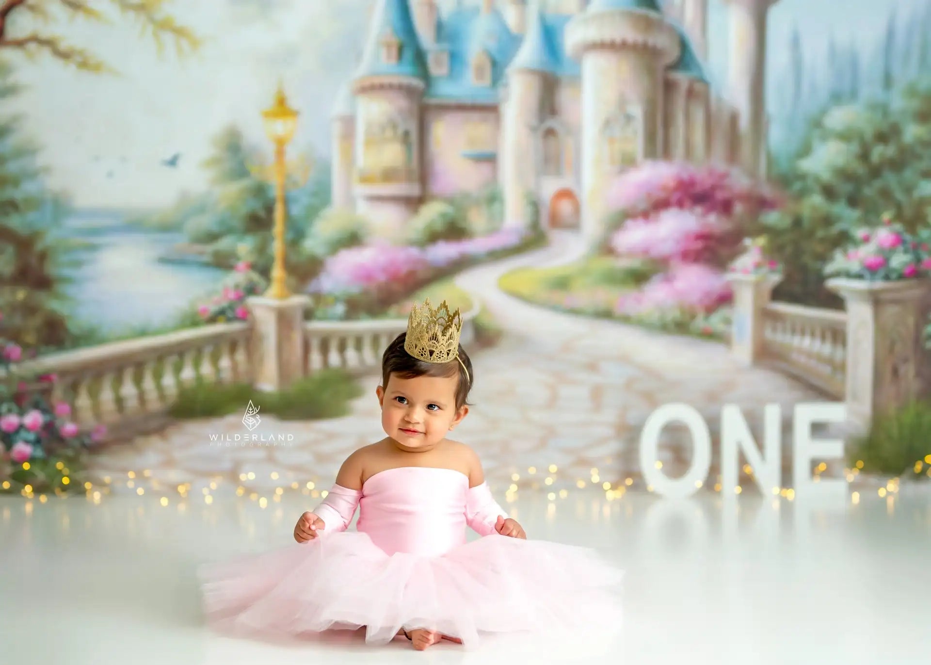 Fantasy Castle Photography Backdrop Kids Baby Cake Smash Photocall Decors Child Adult Birthday Studio Backgrounds