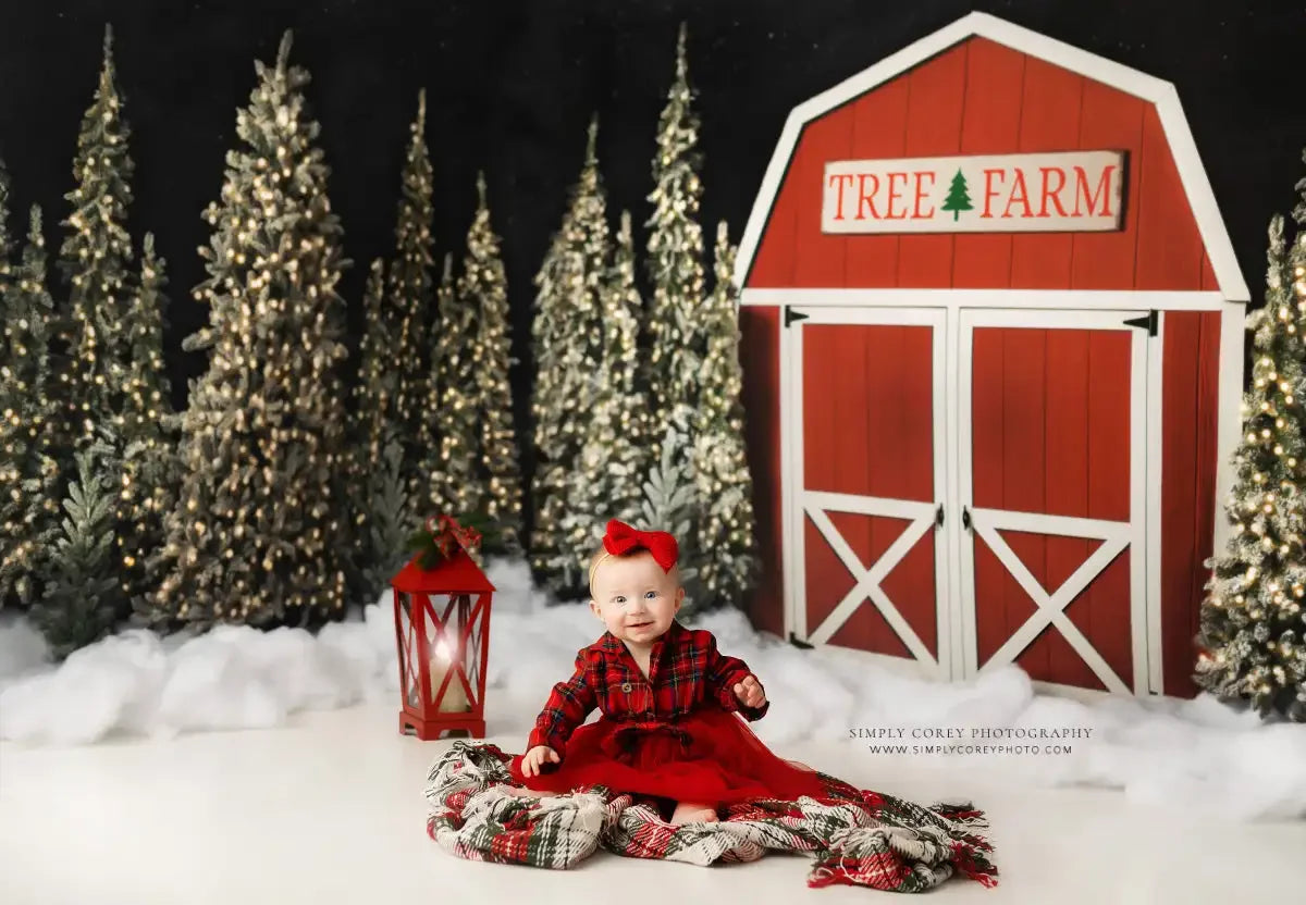 Tree Farm Barn Backdrops Kids Winter Portrait Photography Adult Child Cake Smash Snowy Forest Trees Background