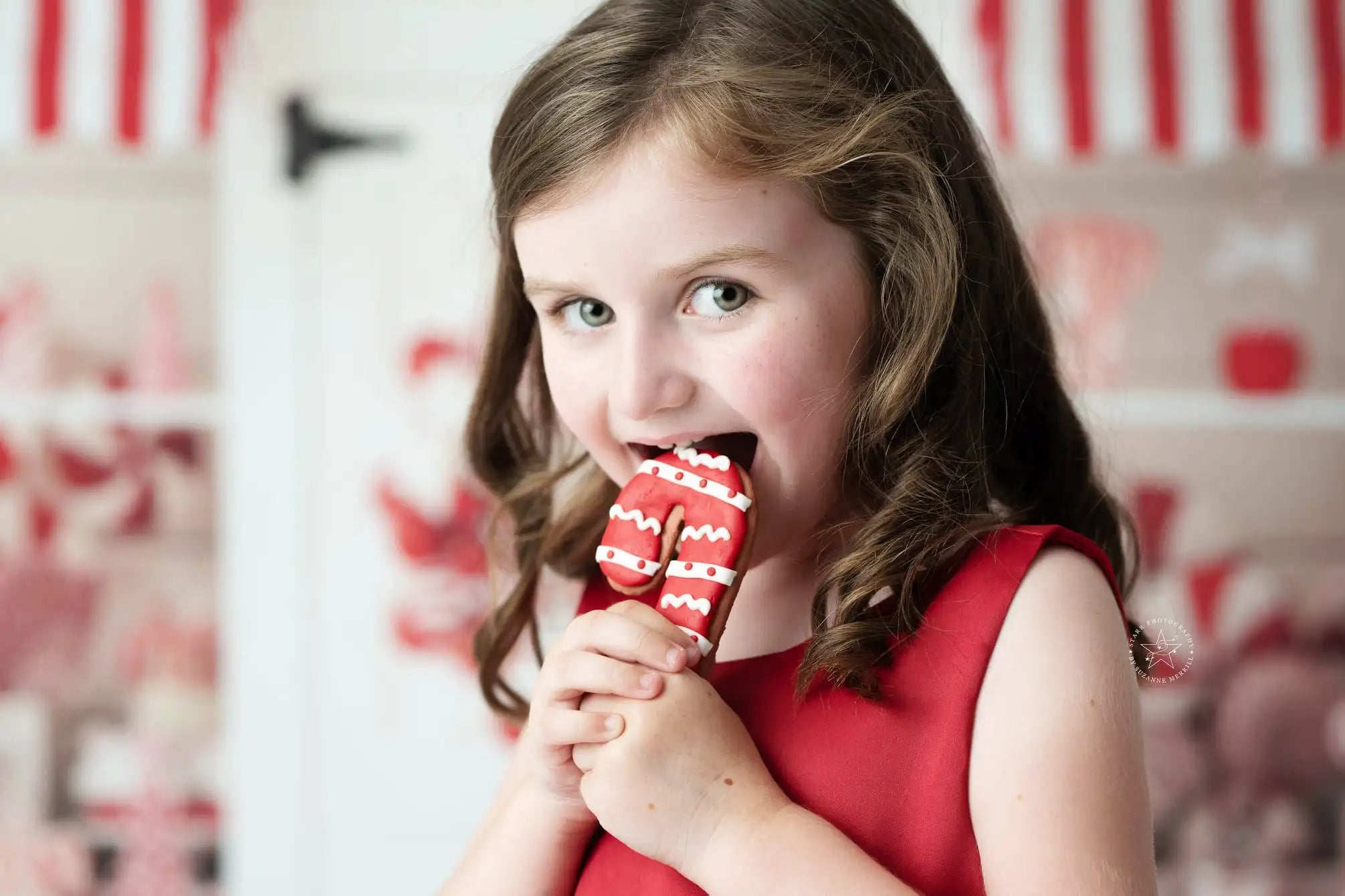 Peppermint Twist Shop Backdrop Kids Baby Cake Smash Photography Props Child Adult Birthday Photo Shoot Backgrounds