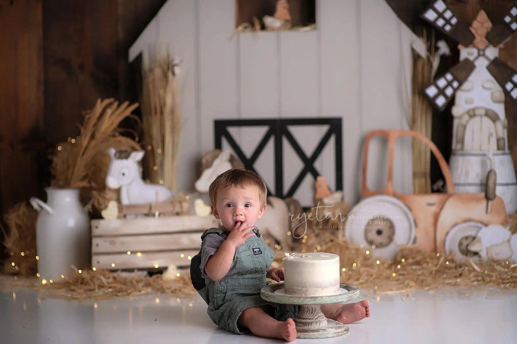 Arrière-plan de jour de ferme de grange blanche, gâteau de bébé pour enfants, photographie d'anniversaire, arrière-plan de maison en bois pour séance photo d'enfant et d'adulte 