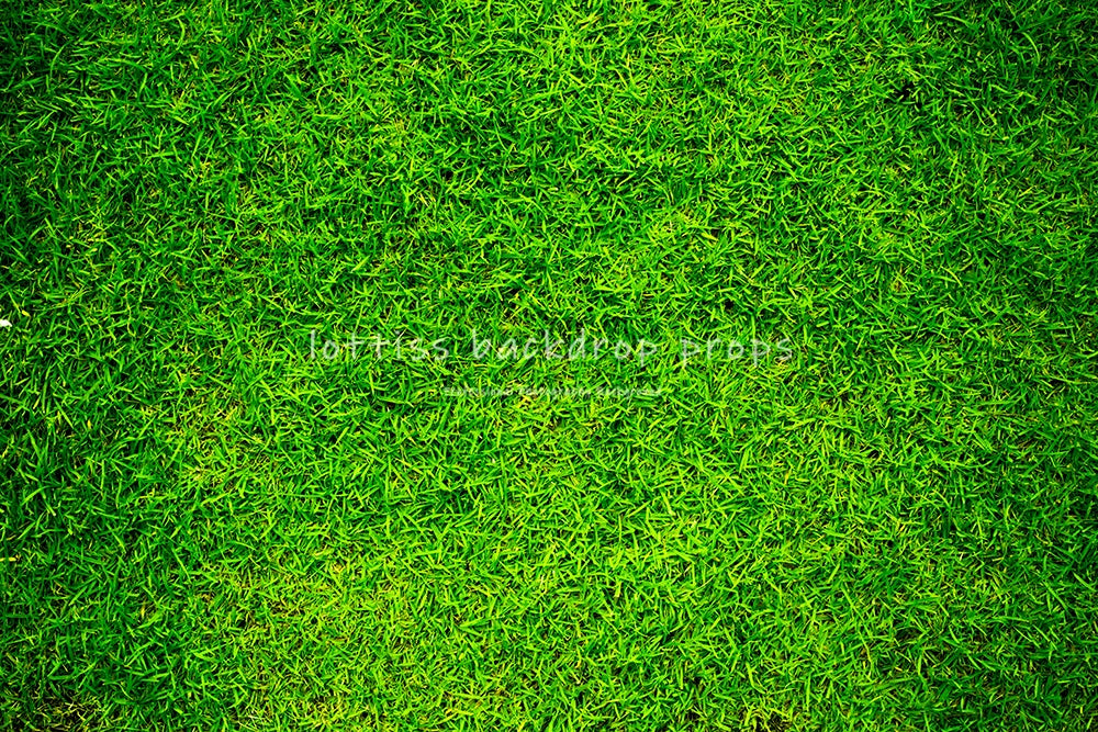 Green Grass Floor Backdrops Kids Adult Photography Props Child Baby Photocall Decors Photostudio Photo Background