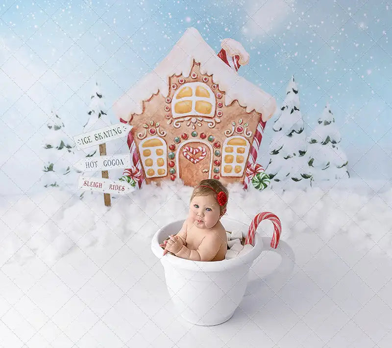 Winter Gingerbread Backdrop Snowy House Child Adult Birthday Photo Shoot Backgrounds Baby Kids Cake Smash Photography Background