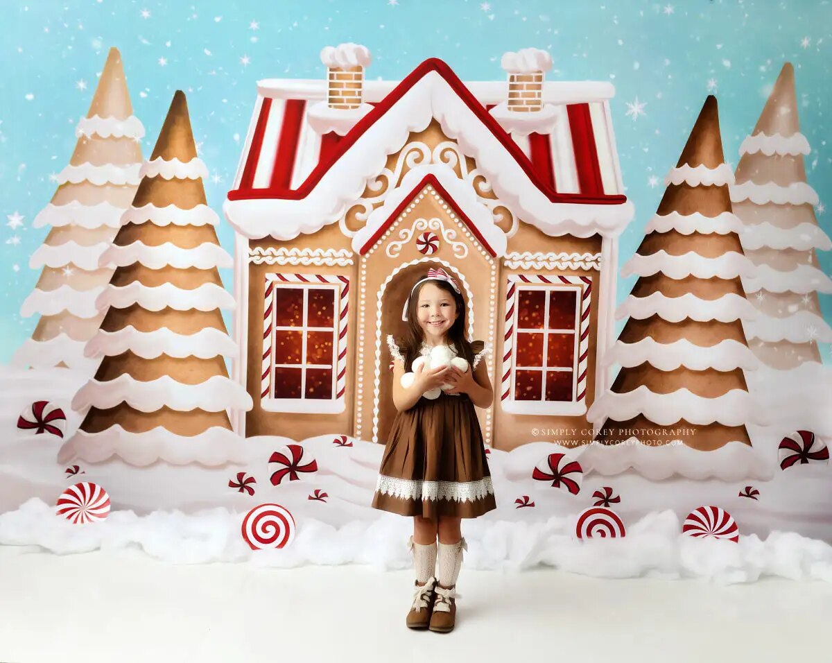 Pretty Peppermint Gingerbread Winter Backdrops Kids Baby Photorgaphy Decors Child Adult Christmas Photocall Snowy House Backgrou