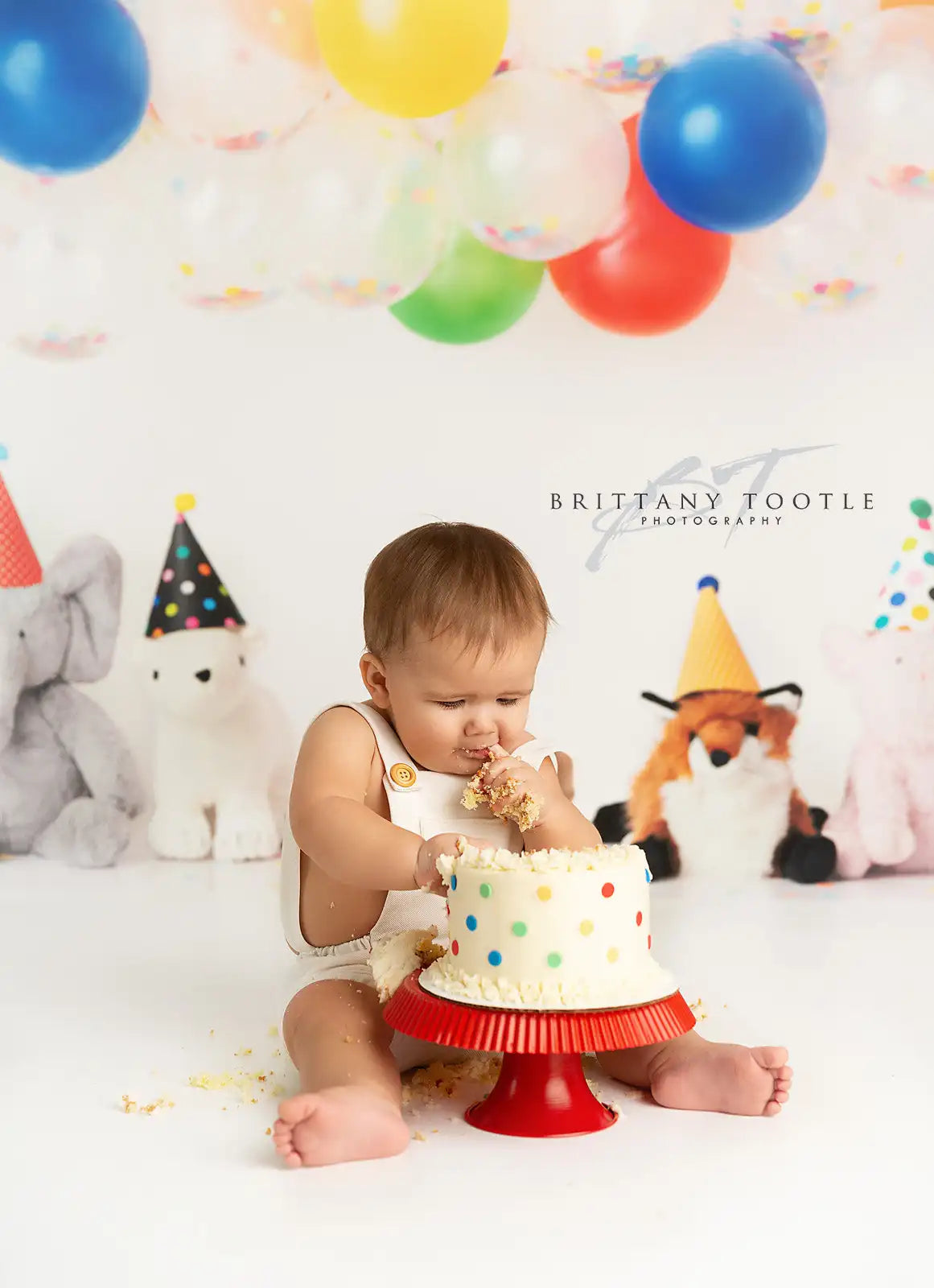 Party Animal Backdrop Balloons Kids Baby Cake Smash Photography Props Child Adult Birthday Photo Studio Backgrounds