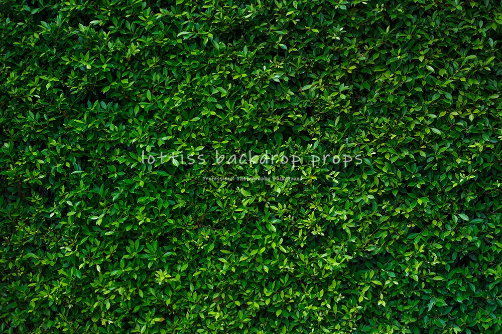 Dark Grass Floor Backdrops Kids Adult Photography Props Baby Child Photocall Decors Wedding Ceremony Birthday Photo Background