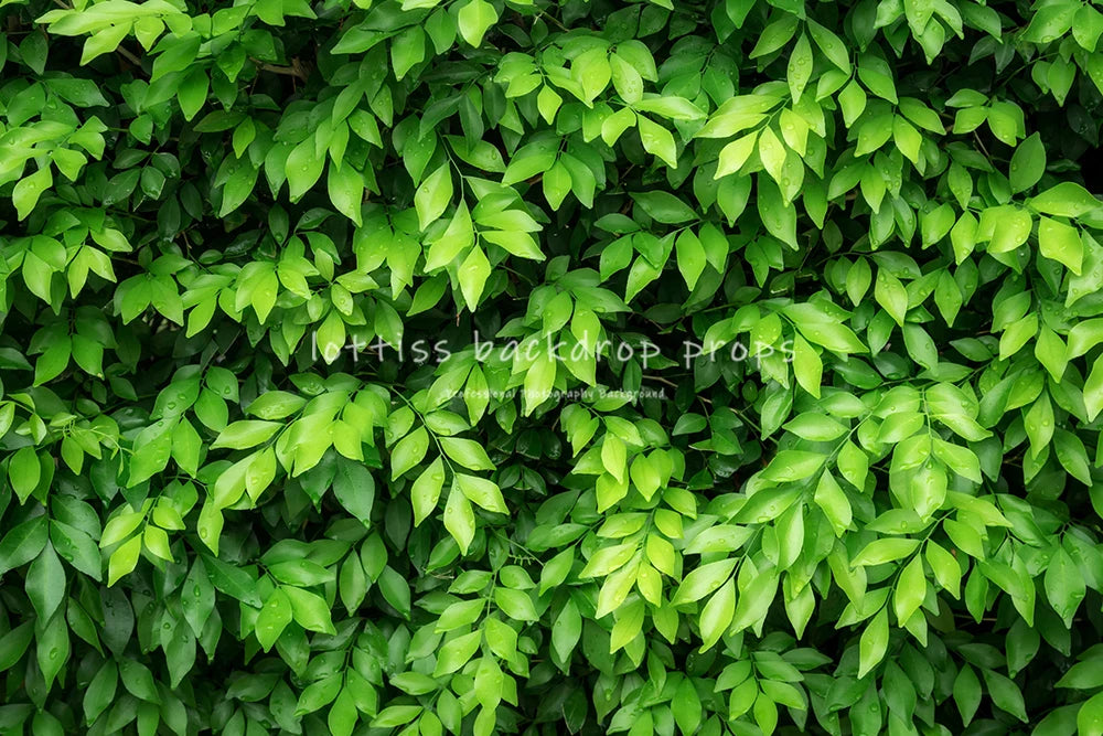 Plant Wall Backdrops Kids Adult Birthday Photography Props Child Baby Photocall Decors Colorful Leaves Zoo Jungle Background