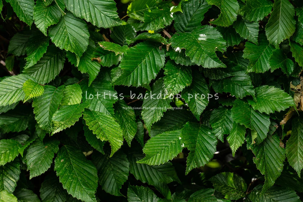 Plant Leaf Wall Backdrops Adult Kids Photography Props Child Baby Photocall Decors Ceremony Festival Backgrounds