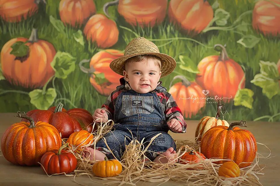 Fall Pumpkin Field Backdrops Kids Photography Child Adult Phtocall Birthday Cake Smash Autumn Farm Background