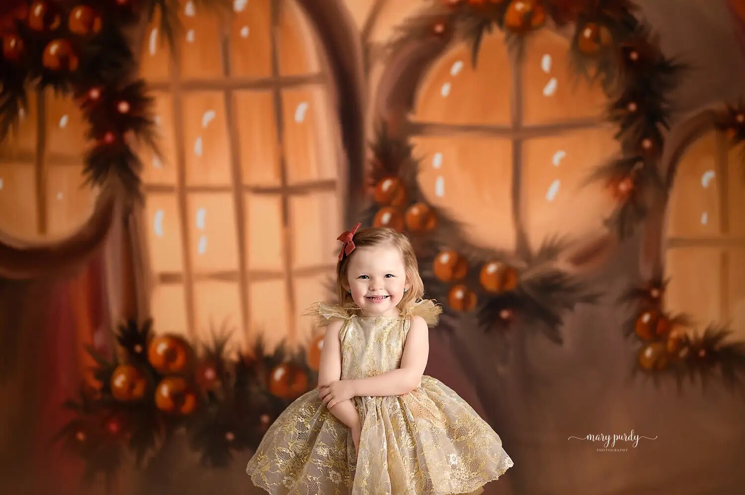 Xmas Winter House Front Photgraphy Backdrops Kids Girl Portrait Props WIndows Christmas Fruitful Winter Room Background