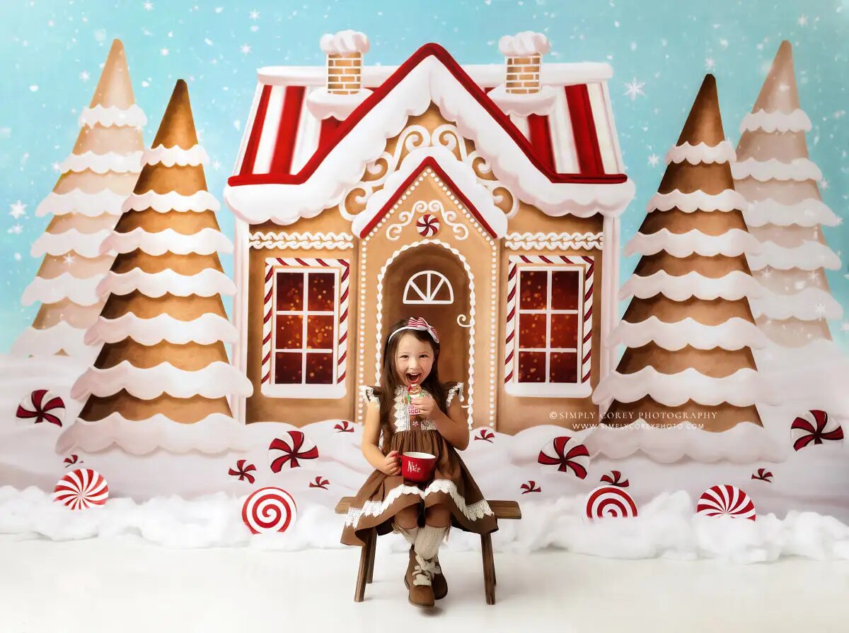 Pretty Peppermint Gingerbread Winter Backdrops Kids Baby Photorgaphy Decors Child Adult Christmas Photocall Snowy House Backgrou