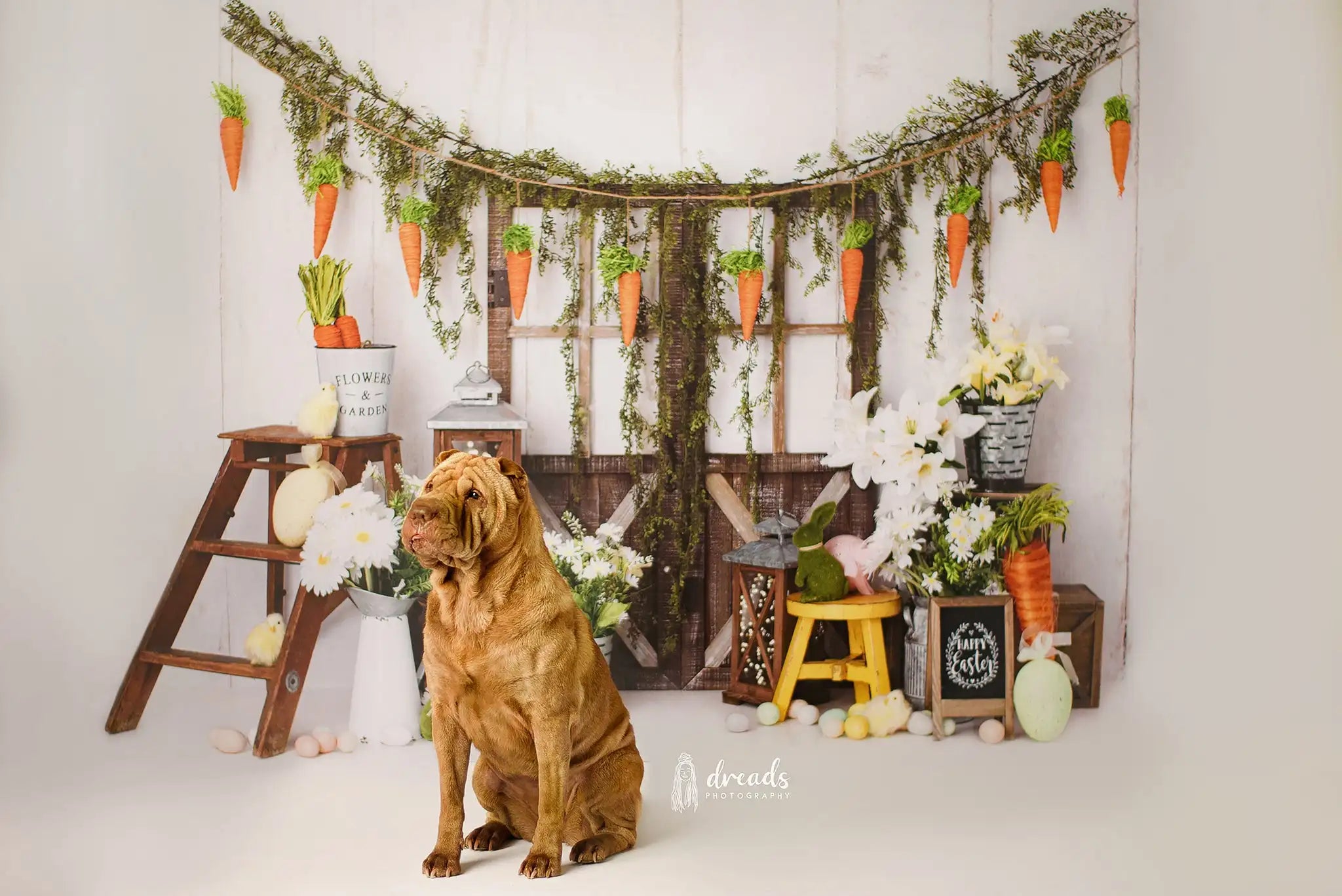 Easter Carrot Barn Door Backdrops Kids Baby Photography Child Adult Photocall Decors Festival Backgrounds