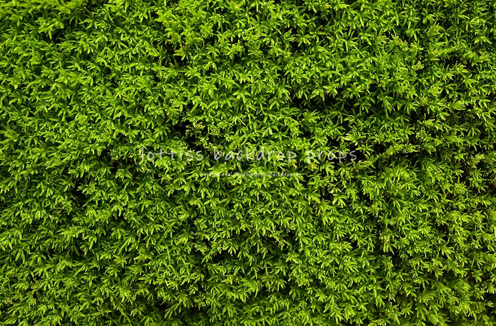 Green Grass Ground Backdrops Kids Adult Photography Props Child Baby Photocall Decors Ceremony Wedding Festival Photo Backdrops