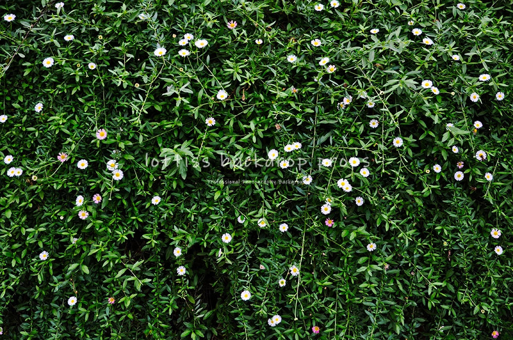 Dark Grass Floor Backdrops Kids Adult Photography Props Baby Child Photocall Decors Wedding Ceremony Birthday Photo Background