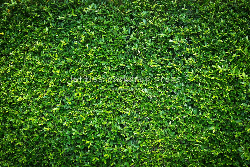 Green Grass Floor Backdrops Kids Adult Photography Props Child Baby Photocall Decors Photostudio Photo Background