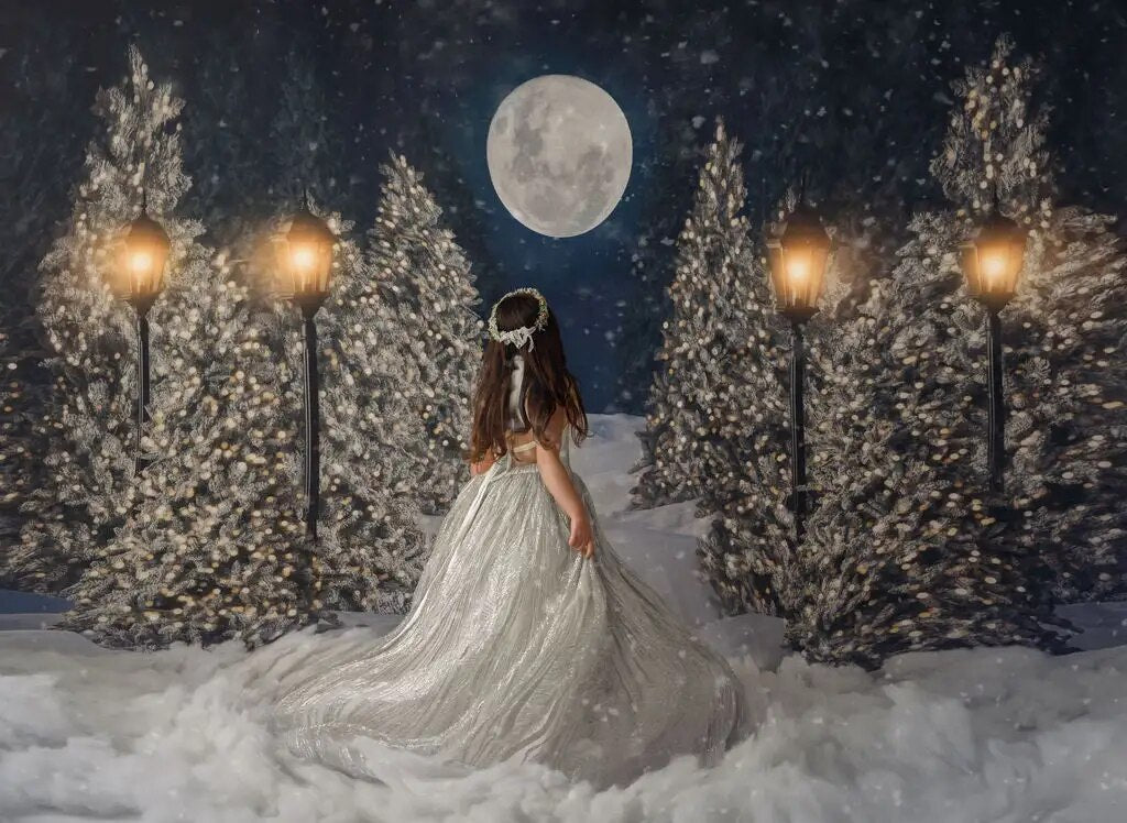 Forêt enneigée décors de noël enfants adultes photographie décors enfant bébé grande lune noël flocon de neige arbres fond 