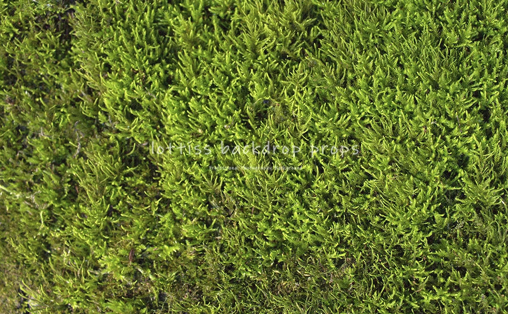 Light Grass Floor Backdrops Kids Adult Photography Props Child Baby Birthday Festvial Props Wedding Ceremony Backgrounds