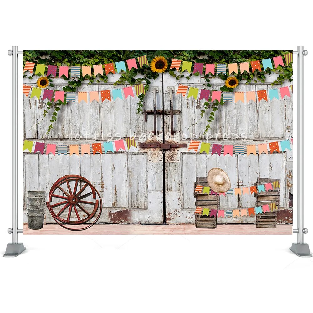 Mexico Fiesta Photography Background Barn Haystack Flower Desert Cactus Guitar Flags Kids Boy Birthday Party Decor Backdrop