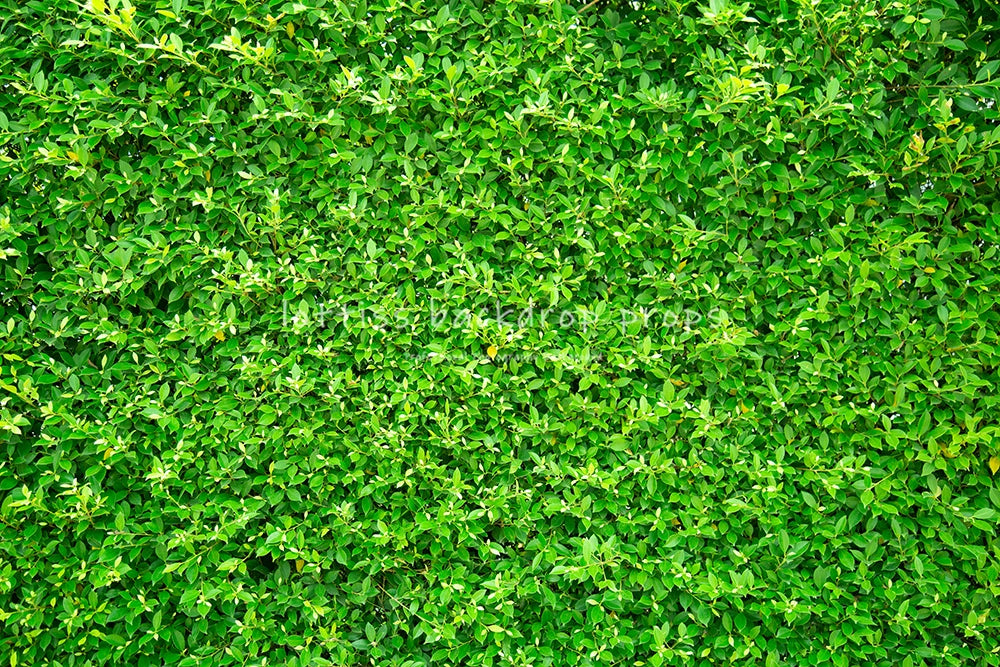 Light Grass Floor Backdrops Kids Adult Photography Props Child Baby Birthday Festvial Props Wedding Ceremony Backgrounds