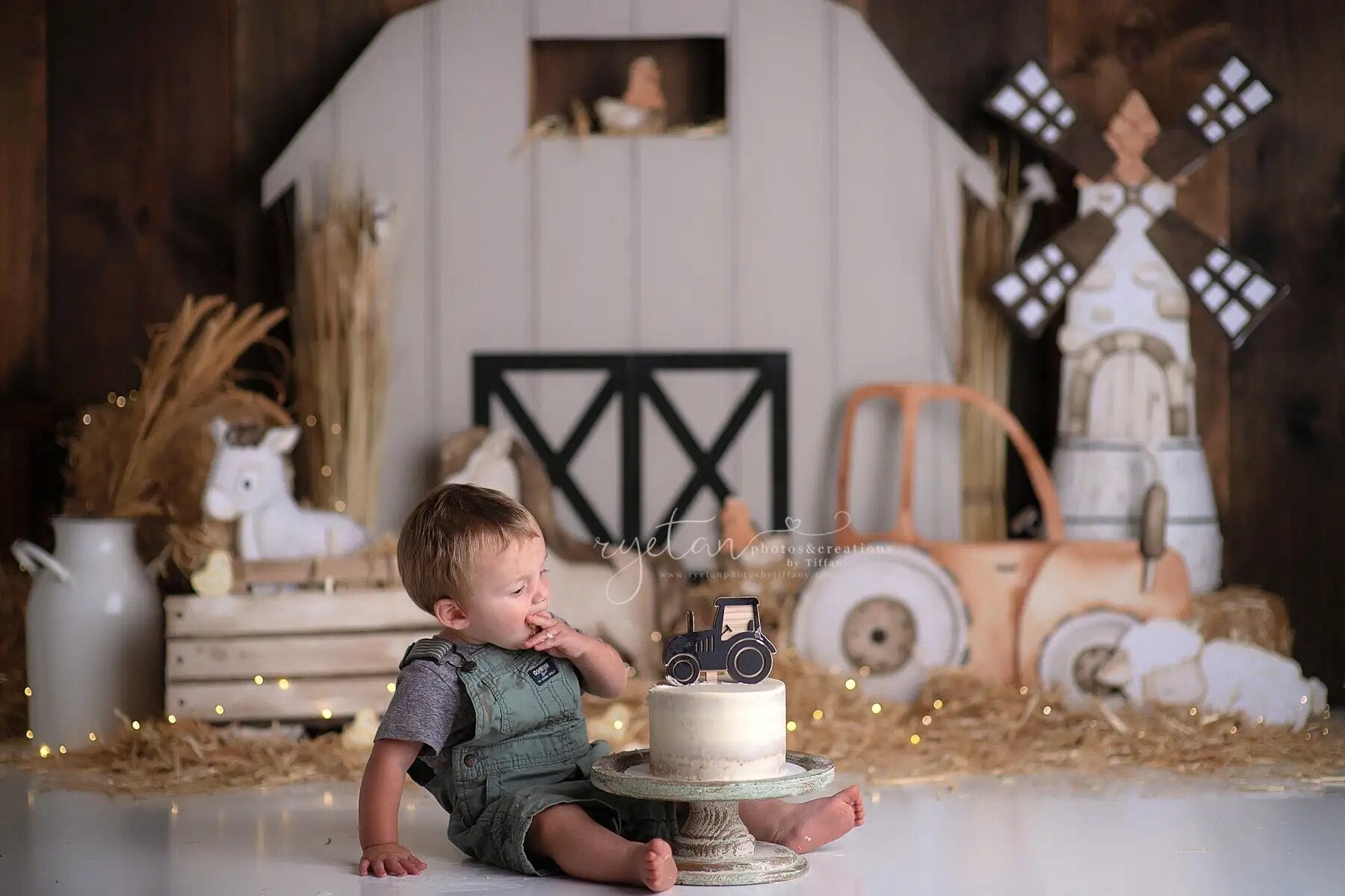 Arrière-plan de jour de ferme de grange blanche, gâteau de bébé pour enfants, photographie d'anniversaire, arrière-plan de maison en bois pour séance photo d'enfant et d'adulte 