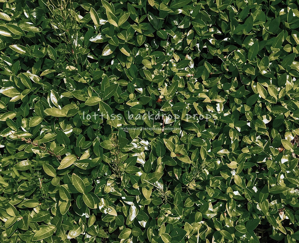 Dark Grass Floor Backdrops Kids Adult Photography Props Baby Child Photocall Decors Wedding Ceremony Birthday Photo Background