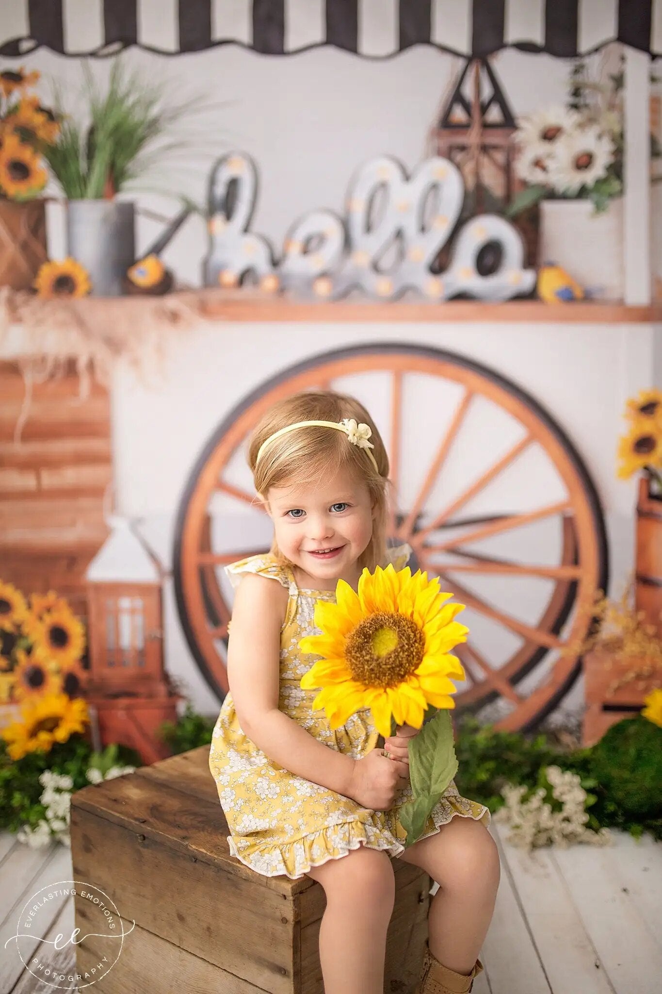 Sunflower Cart Garden Backdrops Kids Cake Smash Props Child Baby Photography Floral Stand Adult Photocall Spring Background