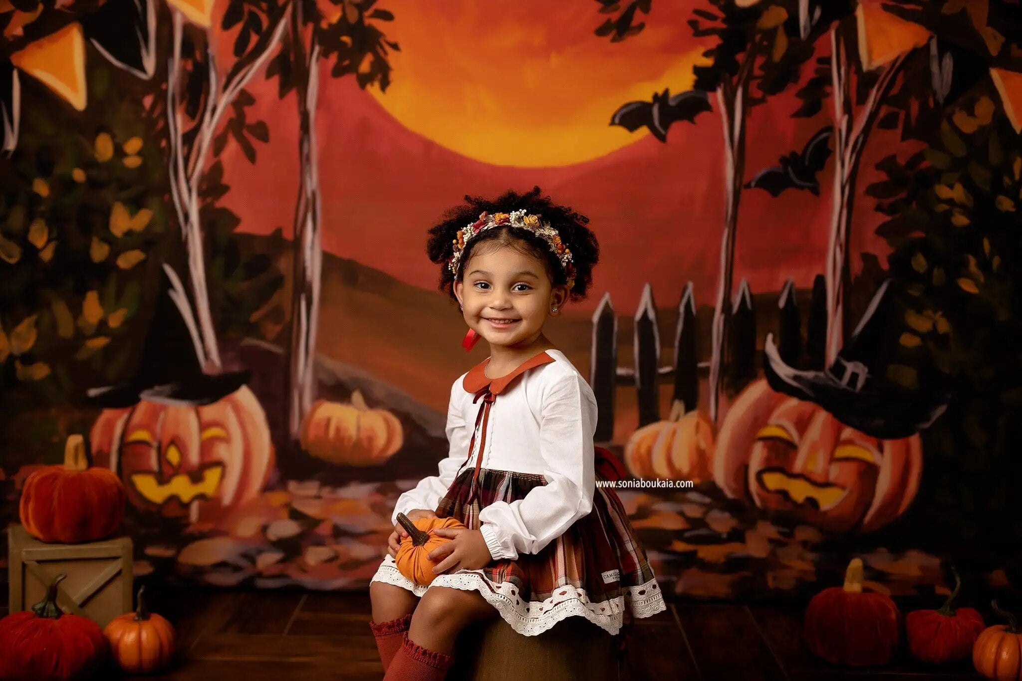 Witches Ball Halloween Backdrops Kids Photgrpahy Adult Child Photocall Props Pumpkin Lanterns Decor Festival Backgrounds