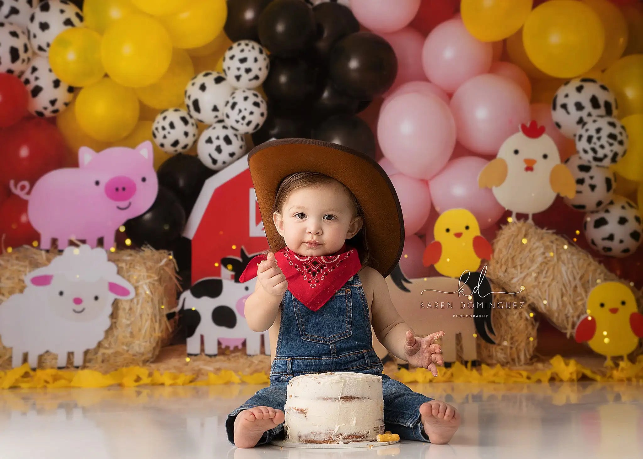 Party In The Barn Photography Backdrop Balloon Kids Baby Cake Smash Photocall Decors Child Adult Birthday Studio Backgrounds