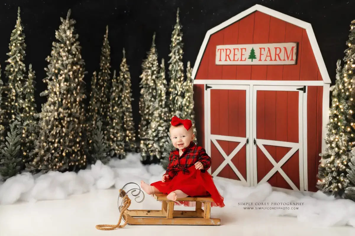 Tree Farm Barn Backdrops Kids Winter Portrait Photography Adult Child Cake Smash Snowy Forest Trees Background