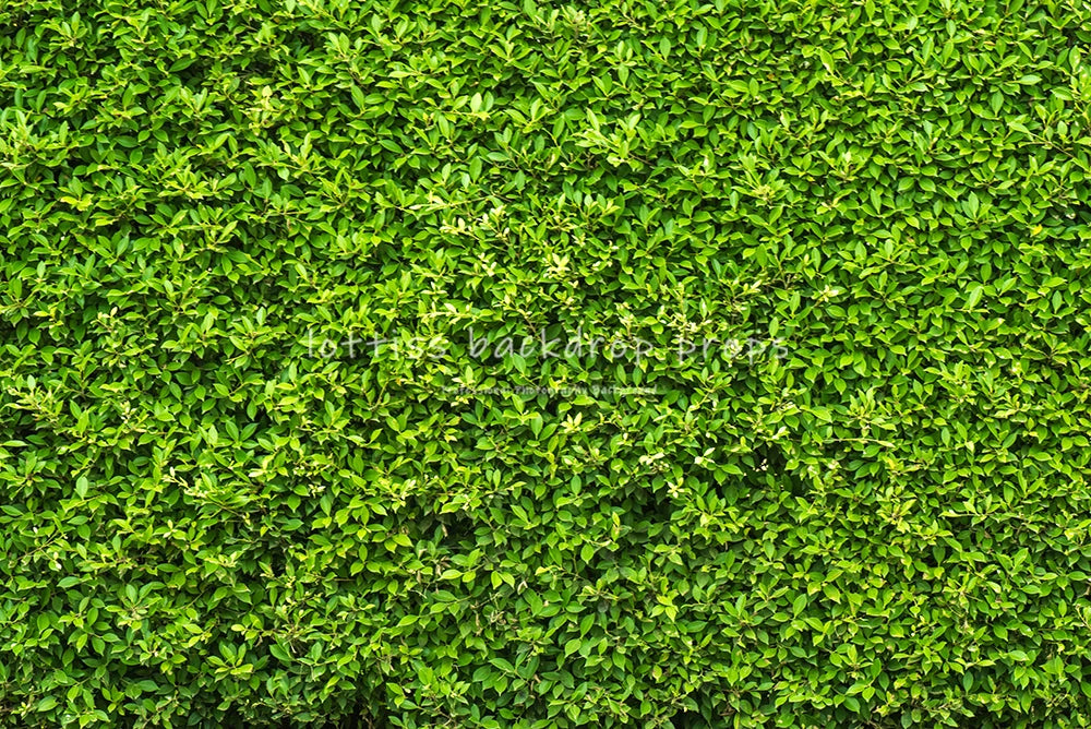 Green Grass Floor Backdrops Kids Adult Photography Props Child Baby Photocall Decors Photostudio Photo Background