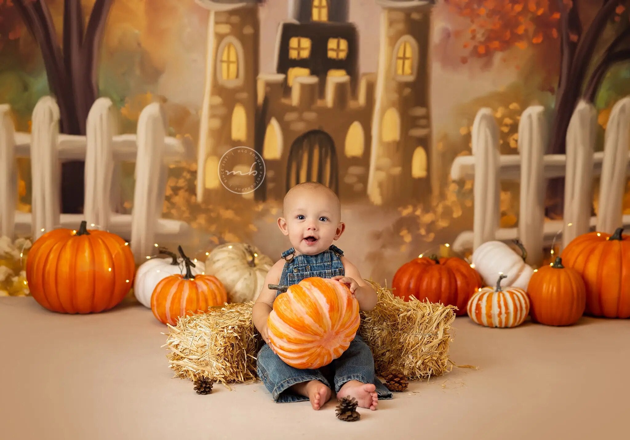 Arrière-plan du Festival de la citrouille d'automne, photographie d'enfants, de bébés, d'enfants et d'adultes, pour séance photo alors que les feuilles tournent, arrière-plan du château d'automne 