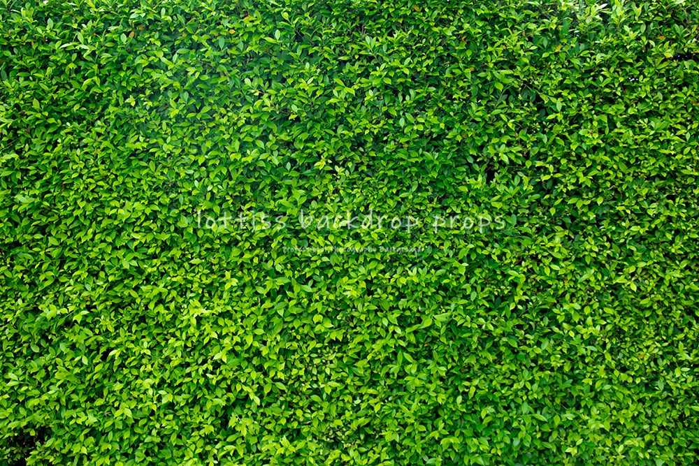 Green Grass Ground Backdrops Kids Adult Photography Props Child Baby Photocall Decors Ceremony Wedding Festival Photo Backdrops