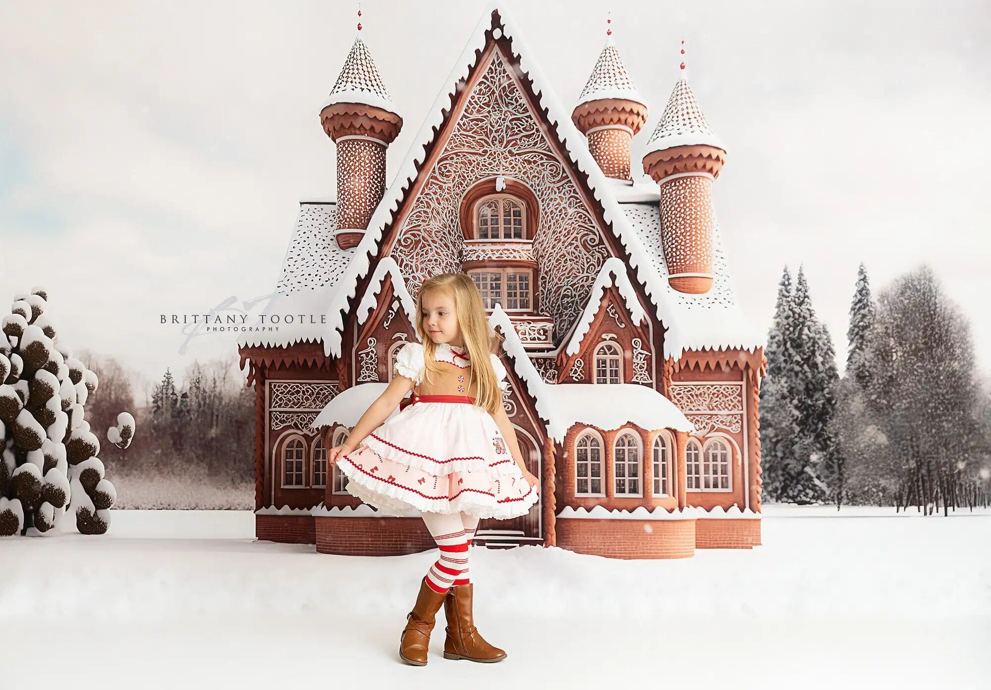 Gingerbread Home Backdrops Kids Girl Photography Props Child Baby Adult Xmas Snowy House Front Background