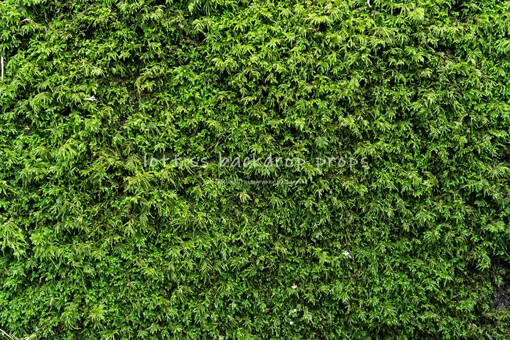 Green Grass Ground Backdrops Kids Adult Photography Props Child Baby Photocall Decors Ceremony Wedding Festival Photo Backdrops