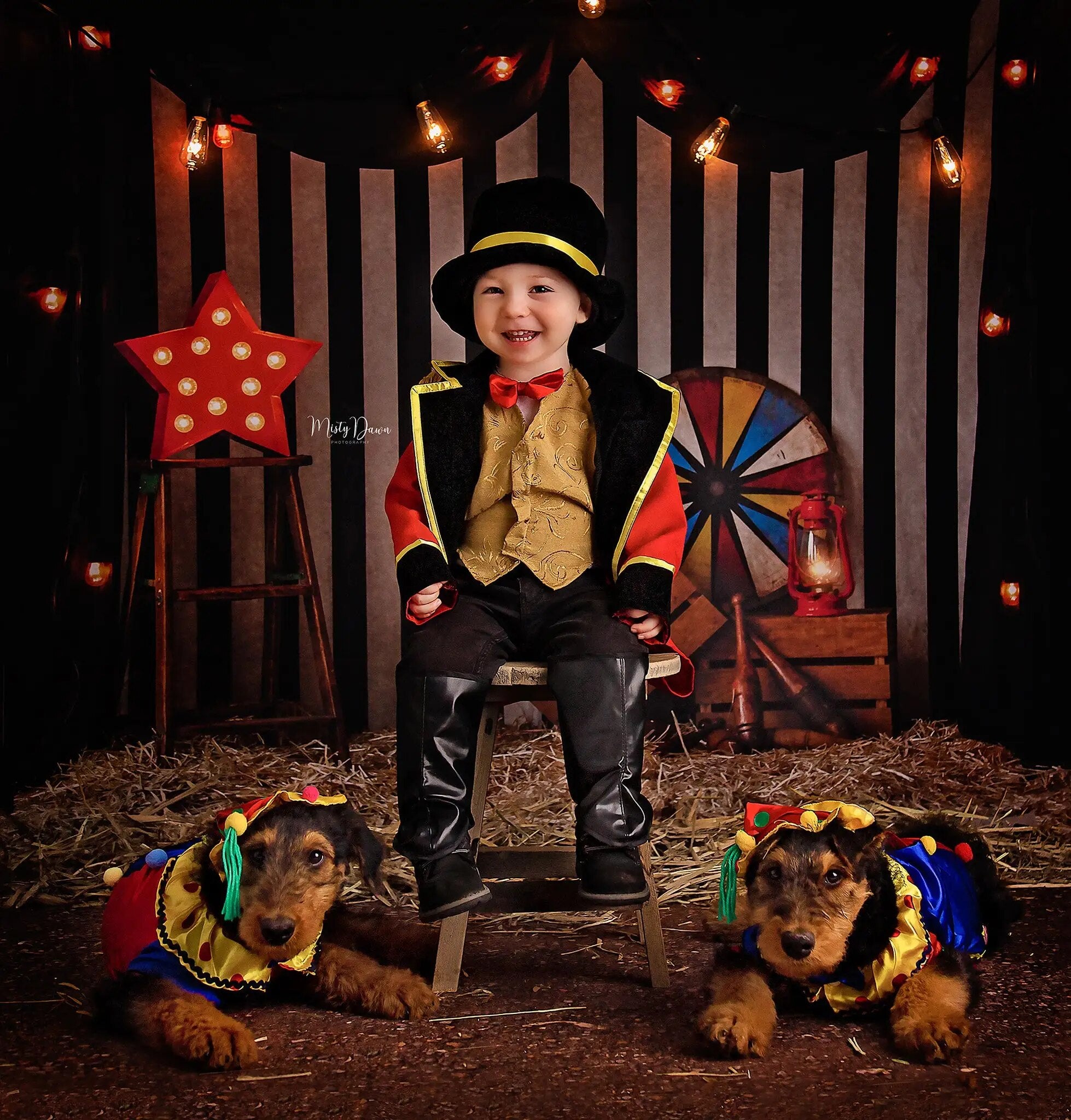 Le plus grand arrière-plan de cirque Showman, accessoires de photographie pour enfants et bébés, décors de séance photo pour enfants et adultes, arrière-plan de scène d'animaux 